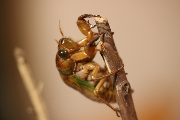semiIMG_6650.jpg
