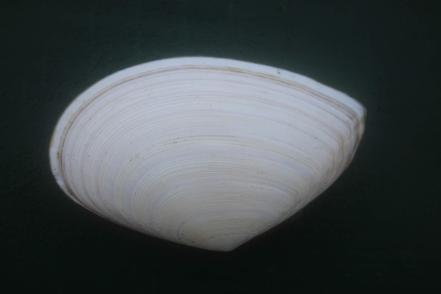srIMG_3802.jpg