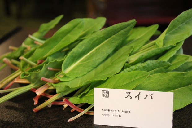 suibaIMG_1410.jpg