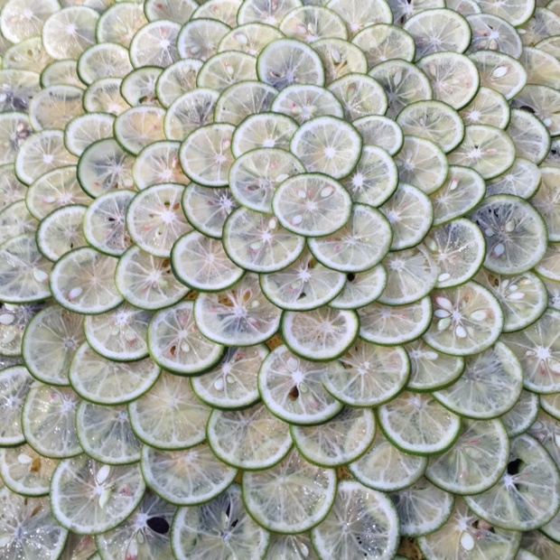 susudasuimage6.jpg