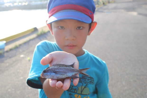 suzudaIMG_6689.jpg