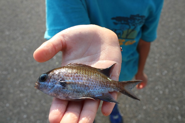 suzudaIMG_6691.jpg