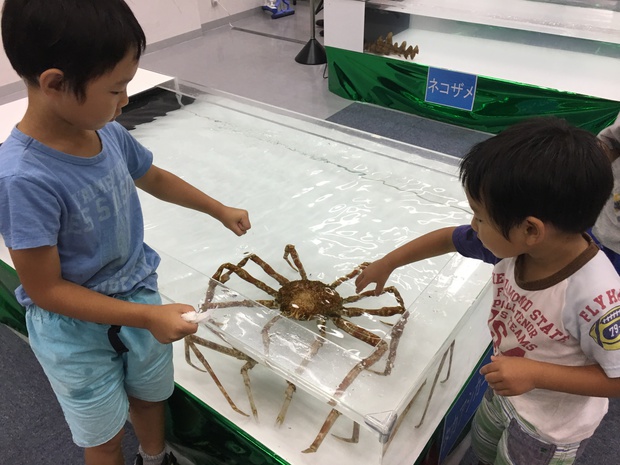 takagaIMG_2936.jpg