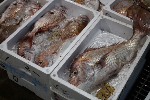 takaichiIIMG_8575.jpg