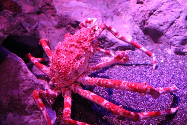 takaniIMG_6524.jpg