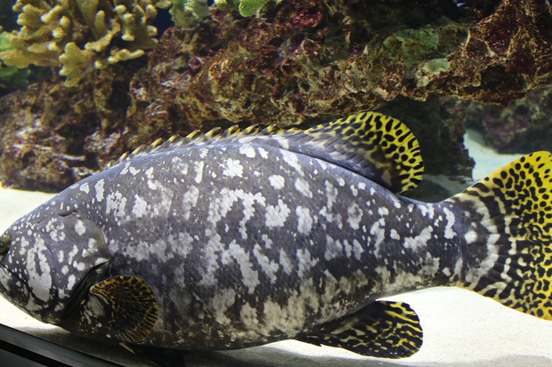 tamakaIMG_6561.jpg