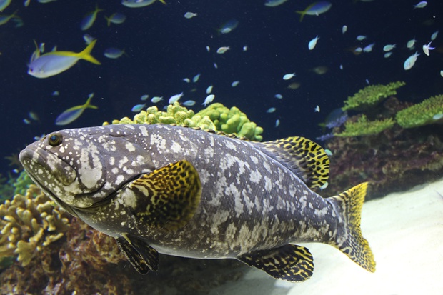 tamakaIMG_6567.jpg