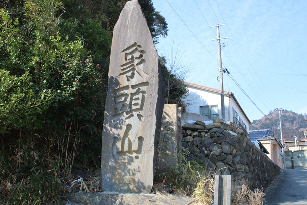 tdai532.jpg