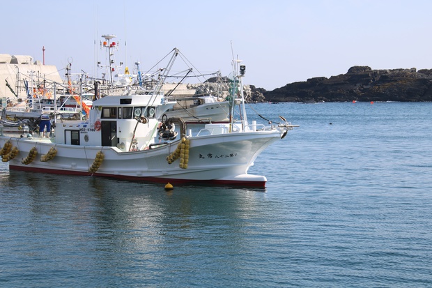 tdai544.jpg