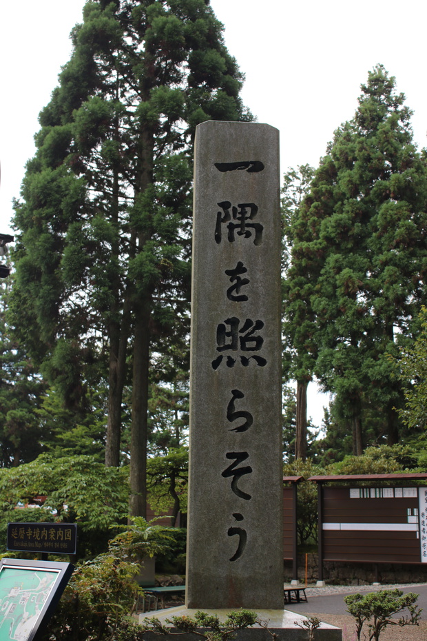 teraIMG_5345.jpg