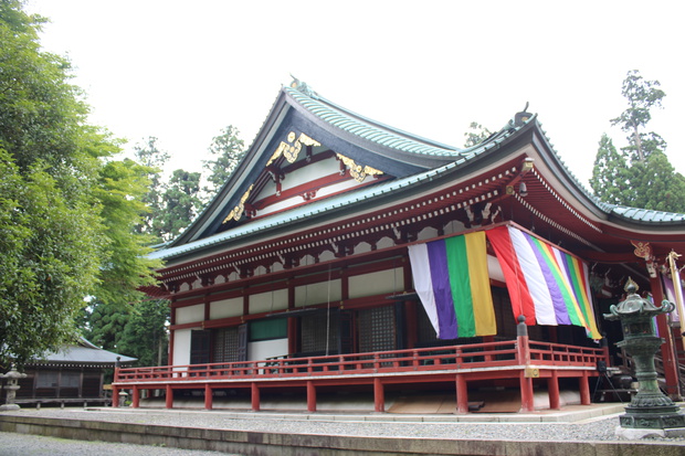 teraIMG_5346.jpg