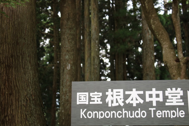 teraIMG_5349.jpg