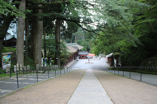 teraIMG_5350.jpg