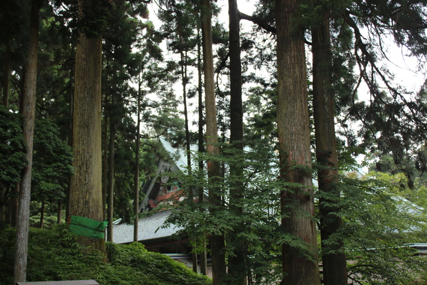 teraIMG_5351.jpg