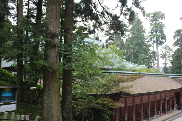 teraIMG_5352.jpg