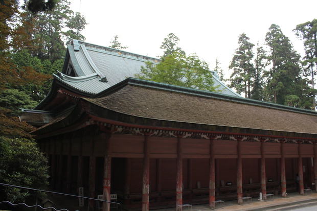 teraIMG_5353.jpg