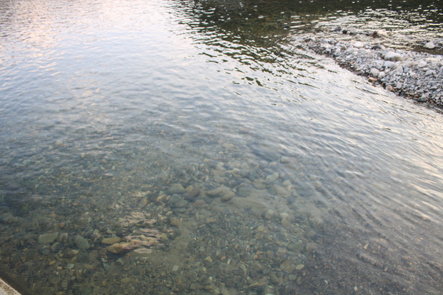 tuwaIMG_7320.jpg