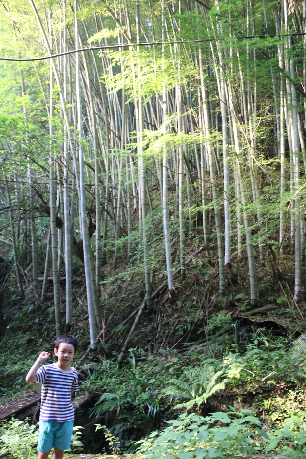 tuwaIMG_7351.jpg