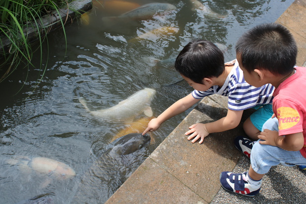 tuwaIMG_7384.jpg