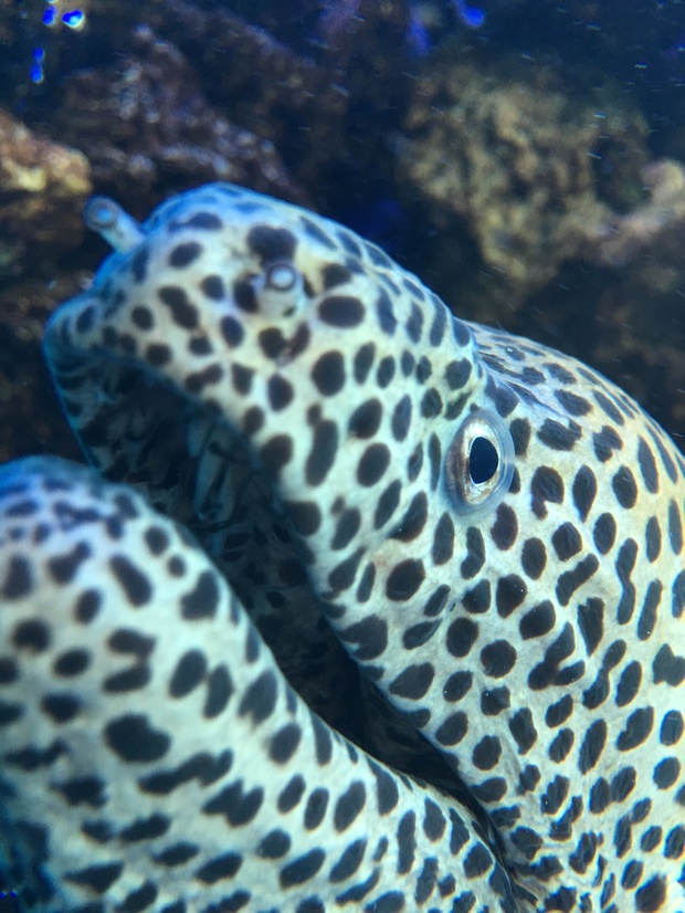 utuIMG_6104.jpg