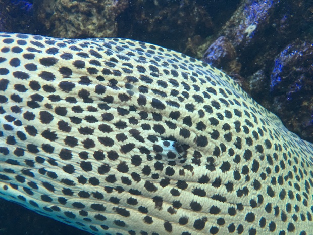utuIMG_6106.jpg