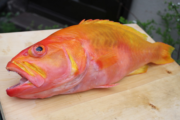 yamaIMG_0235.jpg