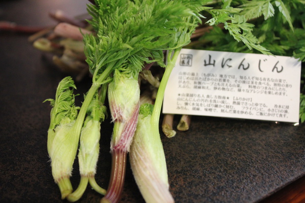 yamaIMG_1393.jpg
