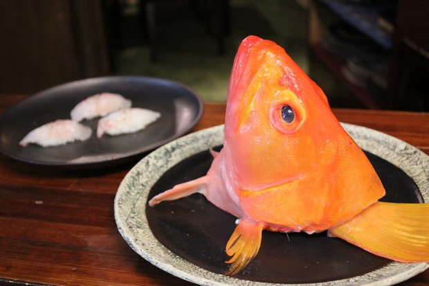 yamabukiIMG_0446.jpg