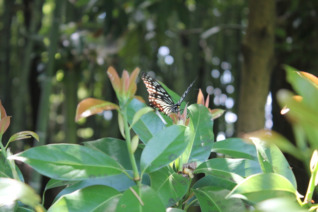 zariIMG_5633.jpg