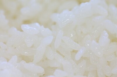 同じ釜の炊き立て新米を食べるランチ会