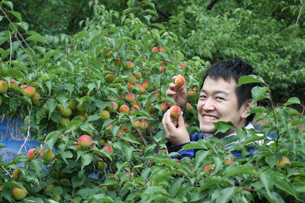 ume_IMG_9738.jpg