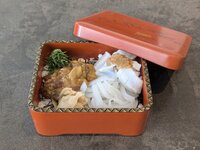 【予約限定】五島のガンガゼアオリイカランチ